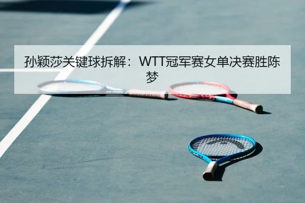 孙颖莎关键球拆解：WTT冠军赛女单决赛胜陈梦