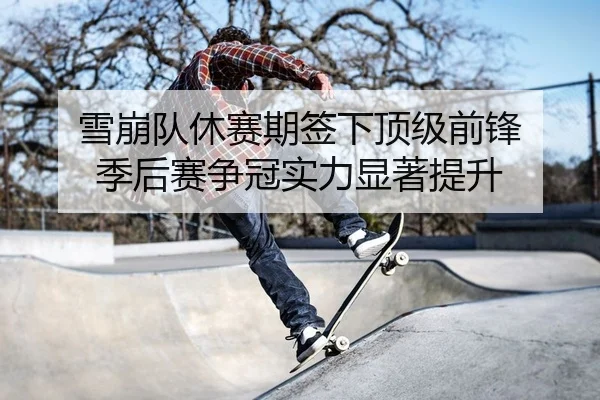 雪崩队休赛期签下顶级前锋 季后赛争冠实力显著提升